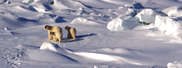 Click Here - Division of Arctic Sciences (ARC)