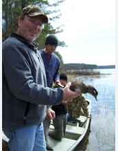 Gary Hepp of Auburn University holds a female wood duck at a field site in South Carolina