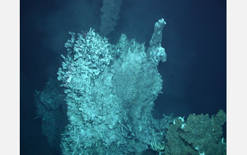 Newly discovered Medusa hydrothermal chimney and black smoker