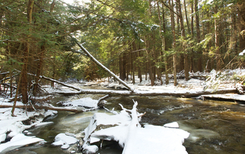 NSF's Harvard Forest LTER site in winter