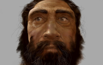 Artwork by Karen Carr depicting a facial reconstruction of a Neanderthal.