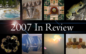 2007 In Review