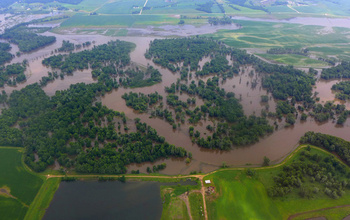 Flooded agricultural land and forest