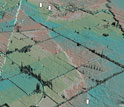 Aerial photo showing agricultural fields and canals of Colorado River delta after the earthquake.