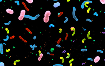 electron micrograph of marine planktonic microbes, colorized for contrast.