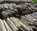 rosewood stockpiles