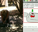 Photo of woman perfomring cpr on a person in the street and a screenshot of phone with instructions