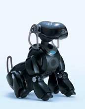 Photo of AIBO