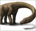 Dreadnoughtus schrani dinosaur rendition