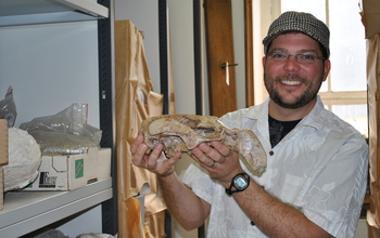 Mark Clementz holds a skull of an early Eocene sirenian