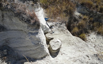 The sediment block in which the skull of Vintana sertichi was seen