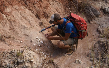 Scientist Joseph J.W. Sertich looking at samples in the field in Madagascar.