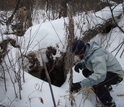A winter ecologist peers beneath the subnivium and into the den of a porcupine living there.