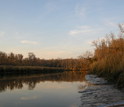 Freshwater wetland in coastal Georgia during  winter