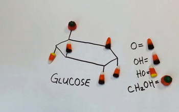 molecular structure of glucose using candy corn