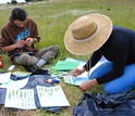 Researchers glue leaves of wild plants to blue paper for disease symptom assessment.