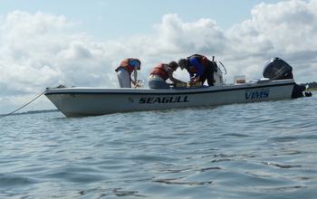 researchers with crab samples in a boat at sea