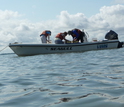 researchers with crab samples in a boat at sea
