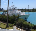 The vessel Atlantic Explorer, used in the study, just before a research cruise to Barbados.