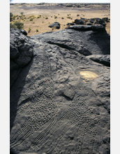 Two giraffe petroglyphs that were carved on red sandstone rock about 6000 years ago