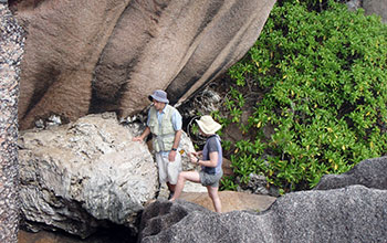 Researchers study a limestone outcrop containing fossil corals in the Seychelles