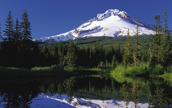 view of  Mount Hood reflecting in a lake