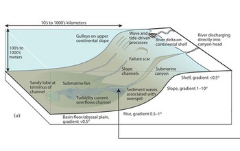 Examples of sediment transport