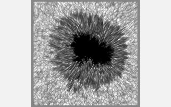 High-resolution image of sunspot taken with Dunn Solar Telescope's adaptive optics system