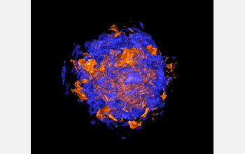 3-D computer simulations showing supernovae exploding
