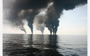 Oil from the Deepwater Horizon spill is collected in booms on the sea surface