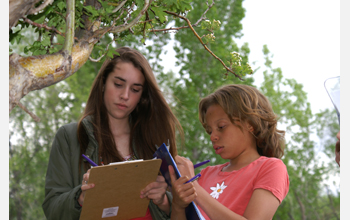 Two students record observations for Project Budburst, a citizen science project