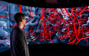 Visualizes brain vasculature and cortical tissue in CAVE2 system