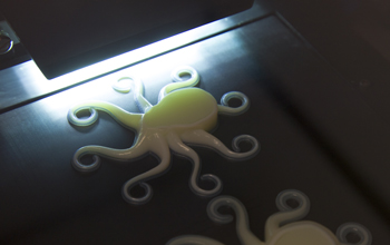 3D printed octopus model