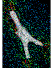 where and how hard a bone-like cell is pulling on the surrounding gel