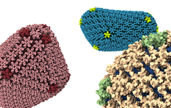 Three different renderings of HIV capsid, with multiple colors representing pentamers and hexamers