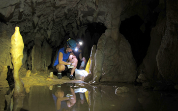 Preparing to collect samples inside Lagang Cave in Gunung Mulu National Park, Borneo