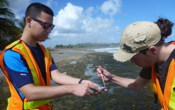 Citizen scientists monitor water quality on the coast of Rio Grande de Manati