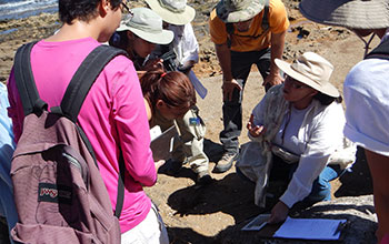 A researcher explains the science behind their hunt for artifacts to citizen scientists group