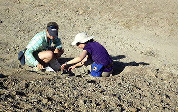 Geologists sample a tuff in the Ledi-Geraru project area near where jaw was found