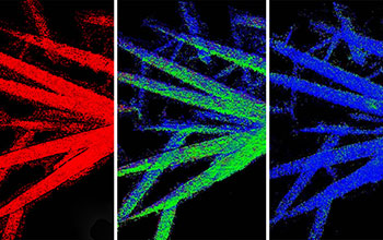 Electrochemical discharge of iron fluoride microwires in percentages