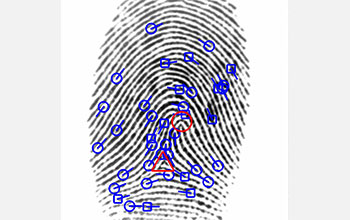A fingerprint with highlighted minutiae and points used to match fingerprint patterns