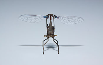 A Harvard RoboBee, a microrobot, smaller than a paperclip, that flies and hovers like an insect