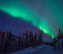 aurora borealis as seen above a snowed forest