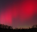 red aurora borealis seen above a forest
