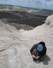 Regan Dunn prospecting for fossil mammals at Gran Barraca, Chubut, Argentina.