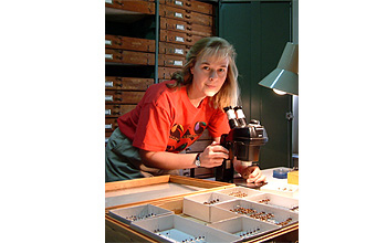 Mary Liz Jameson of the Team Scarab research group working with museum collection.