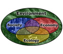 Intersecting circles containing the words Society, Economy and Ecology surrounded by Environment.