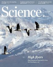 cover of journal Science jan 16 2015