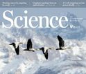 cover of journal Science jan 16 2015