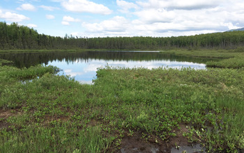 NSF Dimensions of Biodiversity grantees will study Campbell Lake and nearby peatlands in Alaska.